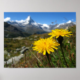 Valais Alps Swiss Poster