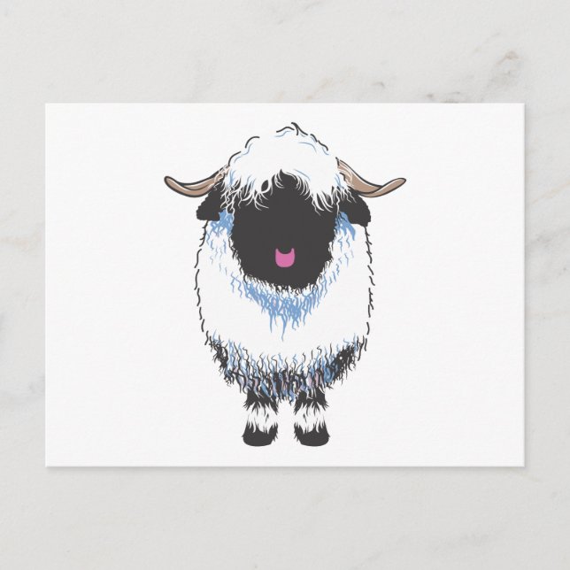 Valais Black Nose Sheep Postcard (Front)