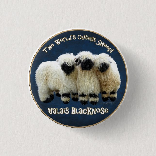 Valais Blacknose - The World's Cutest Sheep! 3 Cm Round Badge (Front)