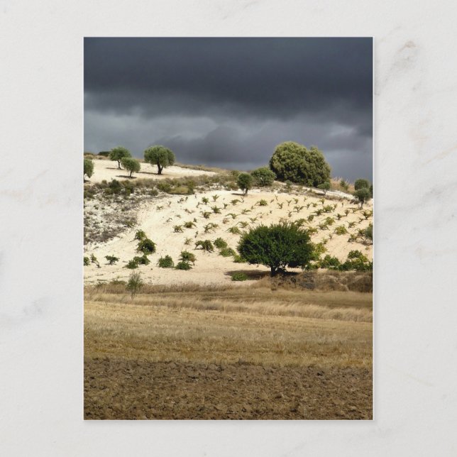Valdelaguna, Madrid Postcard (Front)