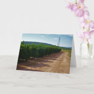Valencia Orange Grove Landscape Card