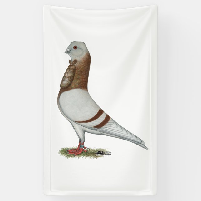 Valencian Figurita Pigeon Banner (Vertical)