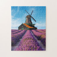 Valensole Lavender Fields Provence France