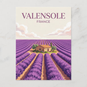 Valensole Plateau France Postcard