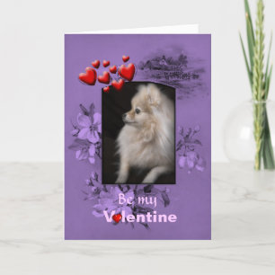 Valentine Adorably Cute Pomeranian Puppy Holiday Card