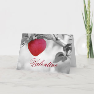 Valentine Apple Holiday Card
