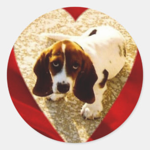 Valentine Bassett Hound Classic Round Sticker