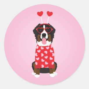 Valentine Bernese Mountain Dog Classic Round Sticker