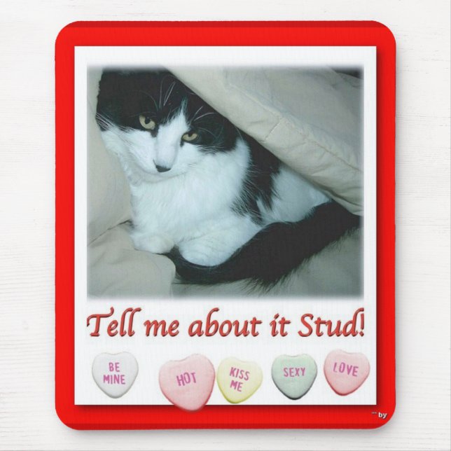 Valentine Black and White Cat Mouse Mat (Front)