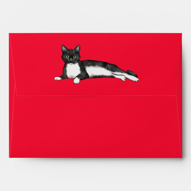 Valentine Black and White Cat on a Pink Envelope (Back (Top Flap))