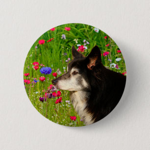 Valentine Border Collie with beautiful flowers 6 Cm Round Badge