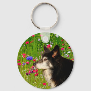 Valentine Border Collie with beautiful flowers Key Ring
