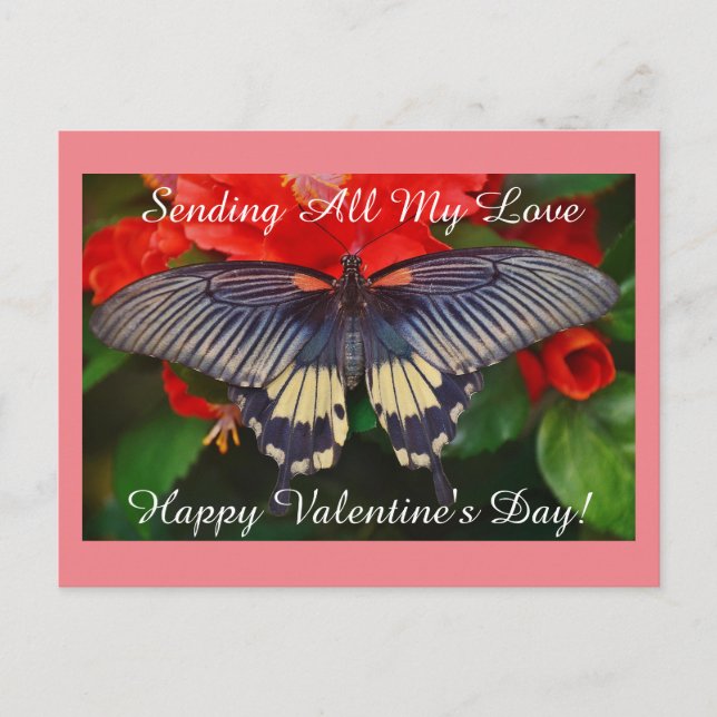 Valentine Butterfly Holiday Postcard (Front)