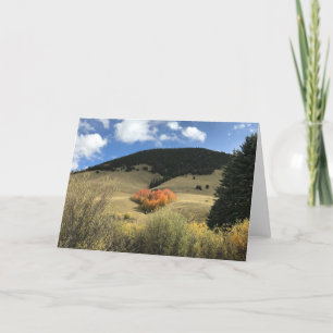 Valentine Card with Heart Shaped Aspens