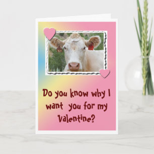 Valentine Cow-Greeting Card