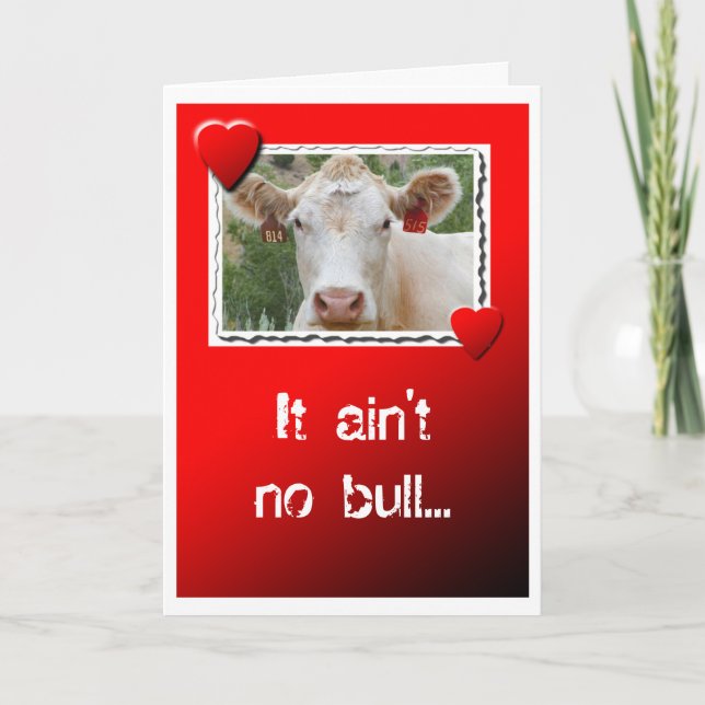 Valentine Cow Holiday Card (Front)