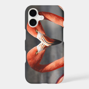 Valentine Flamingo