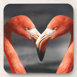 Valentine Flamingo Coaster