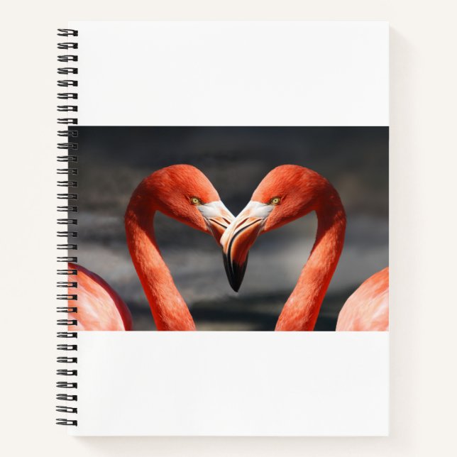 Valentine Flamingo Notebook (Front)