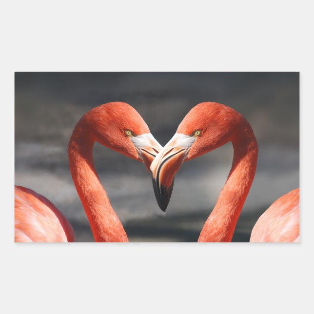Valentine Flamingo Rectangular Sticker (Front)
