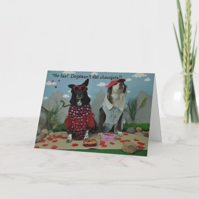 Valentine for anyone, dogs in silly clothes card (Front)