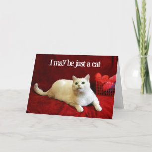 Valentine From the Cat Holiday Card