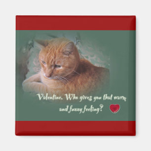 Valentine From the Cat Magnet
