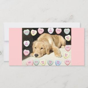 Valentine Golden Retriever Puppy Holiday Card