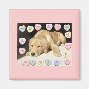 Valentine Golden Retriever Puppy Magnet