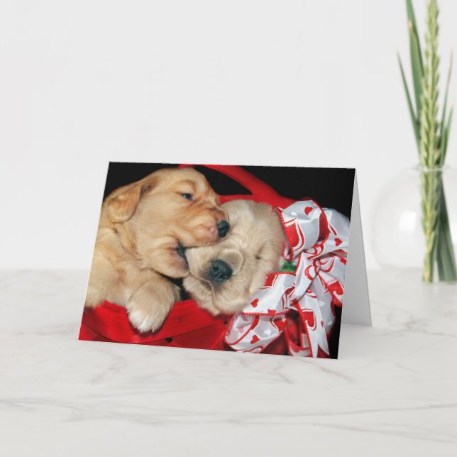 Valentine Golden Retrievers Holiday Card (Front)