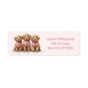 Valentine Goldendoodle Dogs