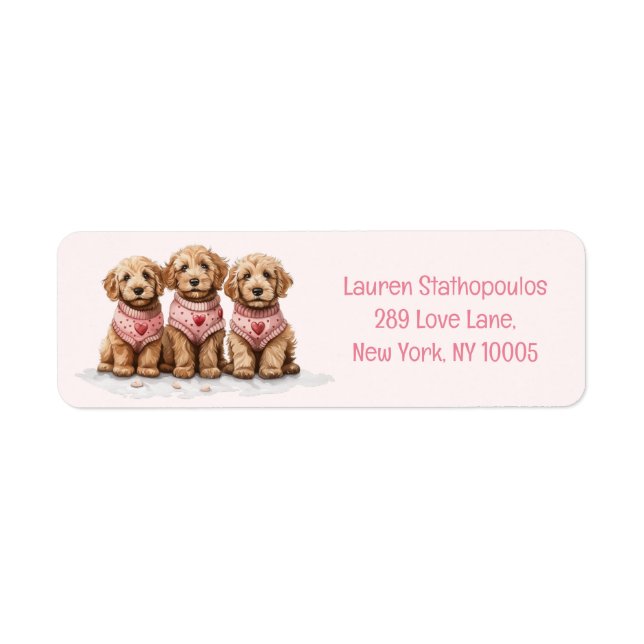 Valentine Goldendoodle Dogs (Front)