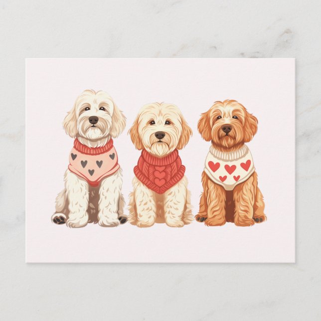 Valentine Goldendoodle Dogs Postcard (Front)