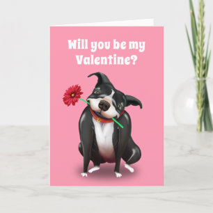 Valentine Greeting Cards   Pit Bull Dog Lover