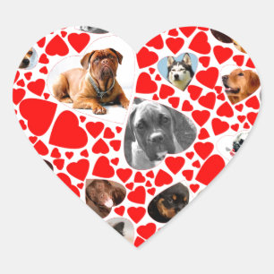 Valentine Heart Dog Photo Collage Heart Sticker