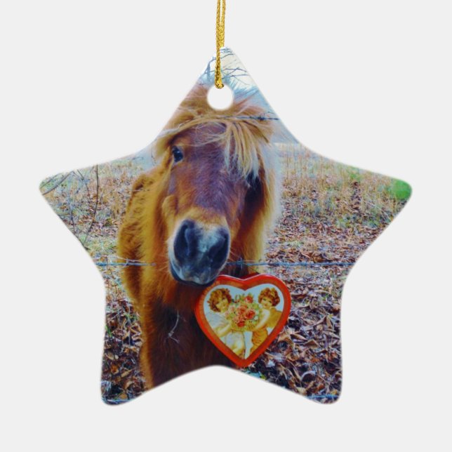 Valentine Heart  Horse Ceramic Tree Decoration (Front)