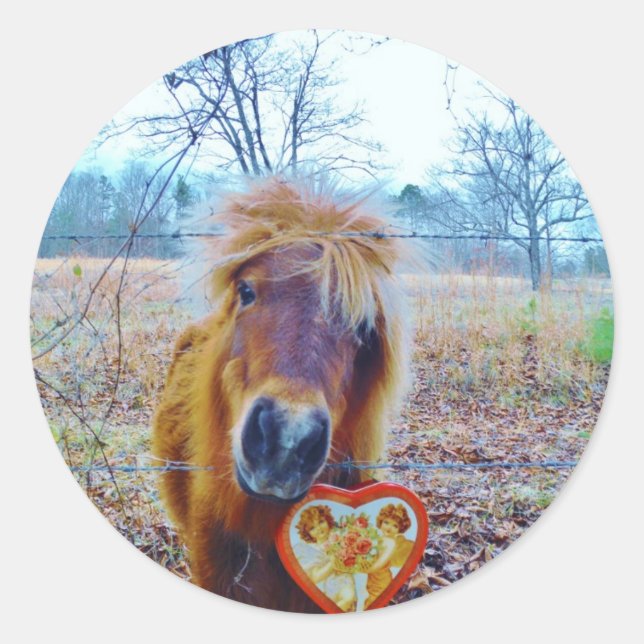 Valentine Heart  Horse Classic Round Sticker (Front)