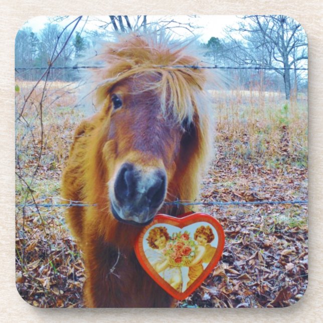 Valentine Heart  Horse Coaster (Front)