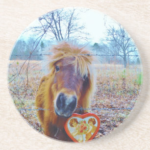Valentine Heart Horse Coaster