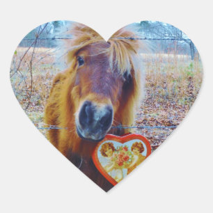 Valentine Heart  Horse Heart Sticker