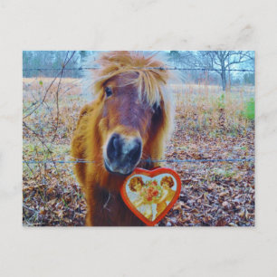 Valentine Heart  Horse Holiday Postcard