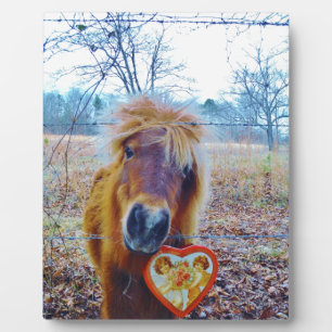 Valentine Heart  Horse Plaque