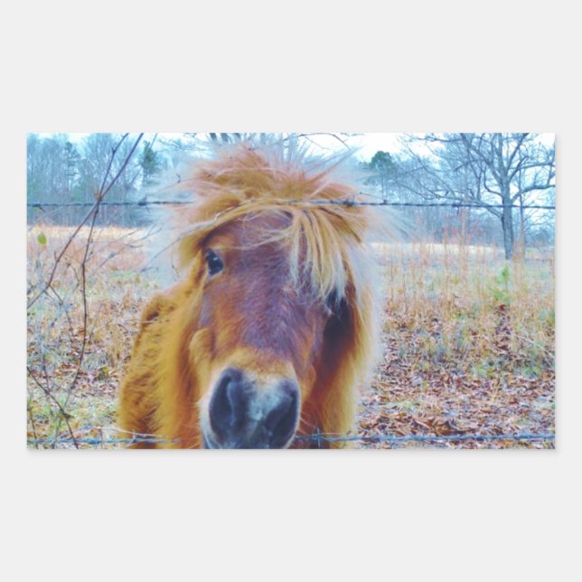 Valentine Heart  Horse Rectangular Sticker (Front)