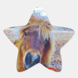 Valentine Heart  Horse Star Sticker