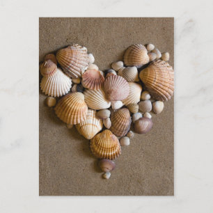 Valentine Heart Made with Shells Holiday Postcard
