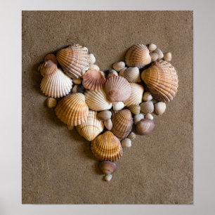 Valentine Heart Made with Shells Poster