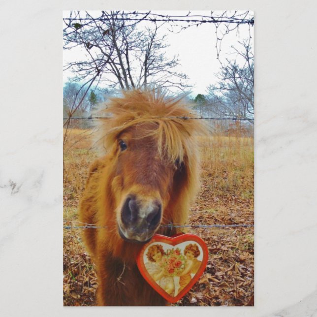 Valentine Heart  Miniature brown Horse (Front)