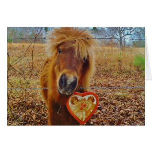 Valentine Heart  Miniature brown Horse