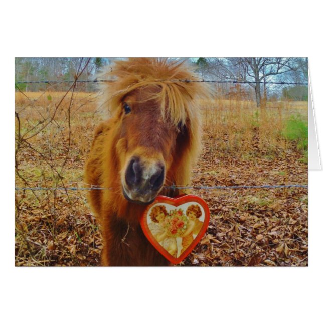 Valentine Heart  Miniature brown Horse (Front Horizontal)