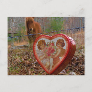 Valentine Heart  Miniature brown Horse Holiday Postcard